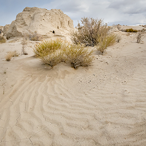 images/2020-03-28_1290568-573_gypsum_desert_gypsum_sand_dunes_knolls_tooele_county_ut.jpg