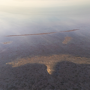 images/2026-01-16c_DJI_174620_0027_D_golden_salt_bird_captain_stansbury_visitors_overlook_tooele_cnty_ut.jpg