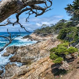 images/2019-05-20_1150527-529_the_poetry_of_beauty_pebble_beach_ca.jpg